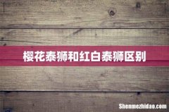 樱花泰狮和红白泰狮区别