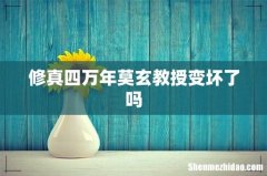 修真四万年莫玄教授变坏了吗
