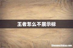 王者怎么不展示标