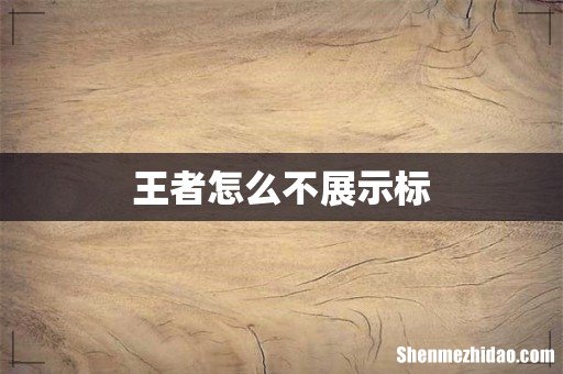 王者怎么不展示标