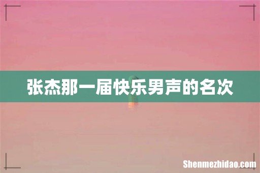 张杰那一届快乐男声的名次