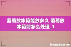 葡萄放冰箱能放多久 葡萄放冰箱前怎么处理_1