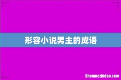 形容小说男主的成语