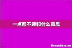 一点都不违和什么意思
