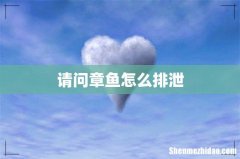 请问章鱼怎么排泄