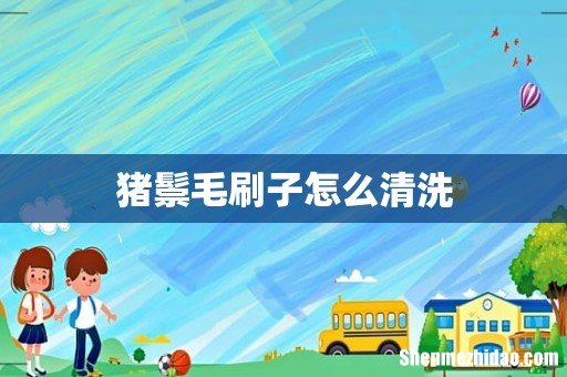 猪鬃毛刷子怎么清洗