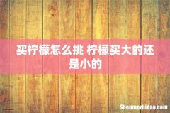 买柠檬怎么挑 柠檬买大的还是小的