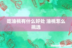 吃油桃有什么好处 油桃怎么挑选