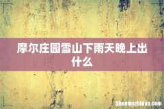 摩尔庄园雪山下雨天晚上出什么