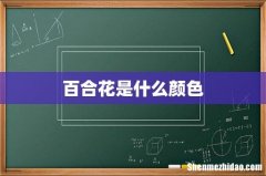 百合花是什么颜色