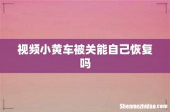 视频小黄车被关能自己恢复吗