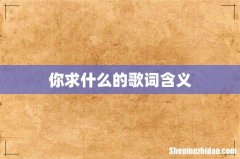 你求什么的歌词含义