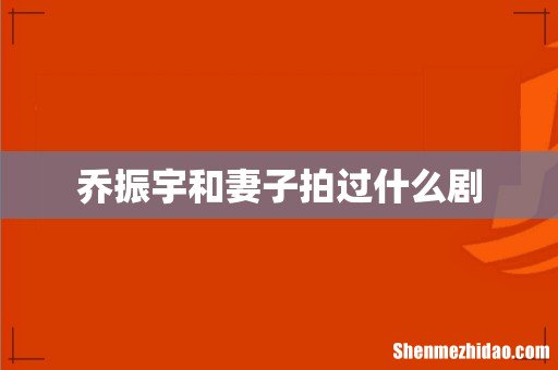 乔振宇和妻子拍过什么剧