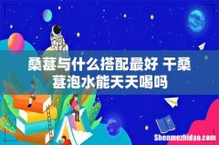 桑葚与什么搭配最好 干桑葚泡水能天天喝吗