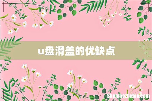 u盘滑盖的优缺点