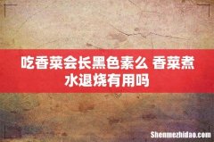 吃香菜会长黑色素么 香菜煮水退烧有用吗