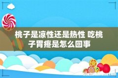 桃子是凉性还是热性 吃桃子胃疼是怎么回事