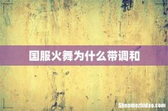 国服火舞为什么带调和