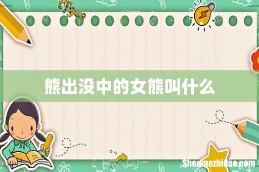 熊出没中的女熊叫什么