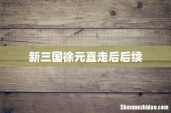 新三国徐元直走后后续