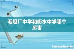 毛坦厂中学和衡水中学哪个厉害