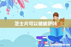 芝士片可以做披萨吗