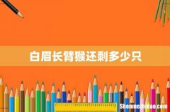 白眉长臂猴还剩多少只