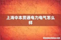 上海中本贯通电力电气怎么样