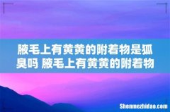 腋毛上有黄黄的附着物是狐臭吗 腋毛上有黄黄的附着物怎么去除