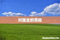 对医生的尊称