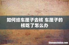 如何给车厘子去核 车厘子的核吃了怎么办