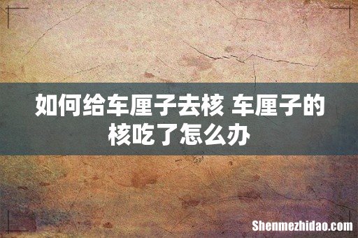如何给车厘子去核 车厘子的核吃了怎么办