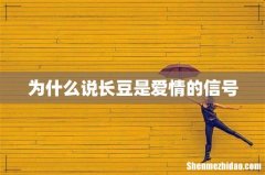 为什么说长豆是爱情的信号