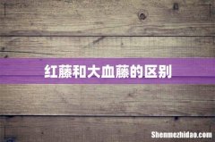 红藤和大血藤的区别