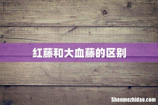 红藤和大血藤的区别
