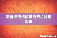 怎样把照相机里的照片打印出来