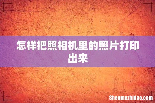 怎样把照相机里的照片打印出来
