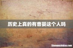 历史上真的有曹婴这个人吗