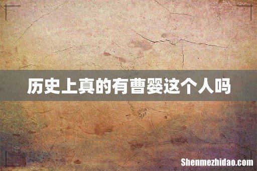 历史上真的有曹婴这个人吗