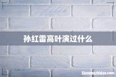 孙红雷高叶演过什么