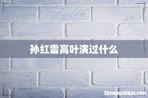 孙红雷高叶演过什么