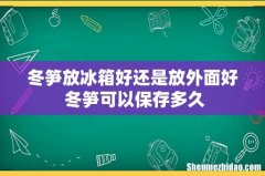 冬笋放冰箱好还是放外面好 冬笋可以保存多久