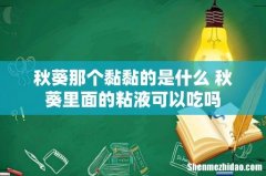秋葵那个黏黏的是什么 秋葵里面的粘液可以吃吗