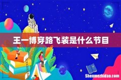 王一博穿路飞装是什么节目