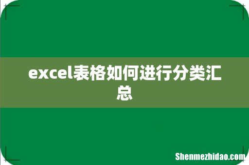 excel表格如何进行分类汇总