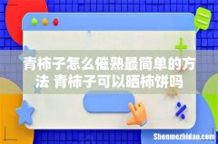 青柿子怎么催熟最简单的方法 青柿子可以晒柿饼吗