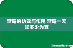 蓝莓的功效与作用 蓝莓一天吃多少为宜