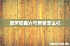 奇声银狐六号音箱怎么样