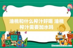 油桃和什么榨汁好喝 油桃榨汁需要加水吗