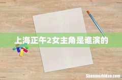 上海正午2女主角是谁演的